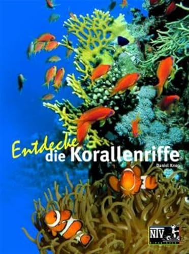 Entdecke die Korallenriffe (Entdecke - Die Reihe mit der Eule: Kindersachbuchreihe)